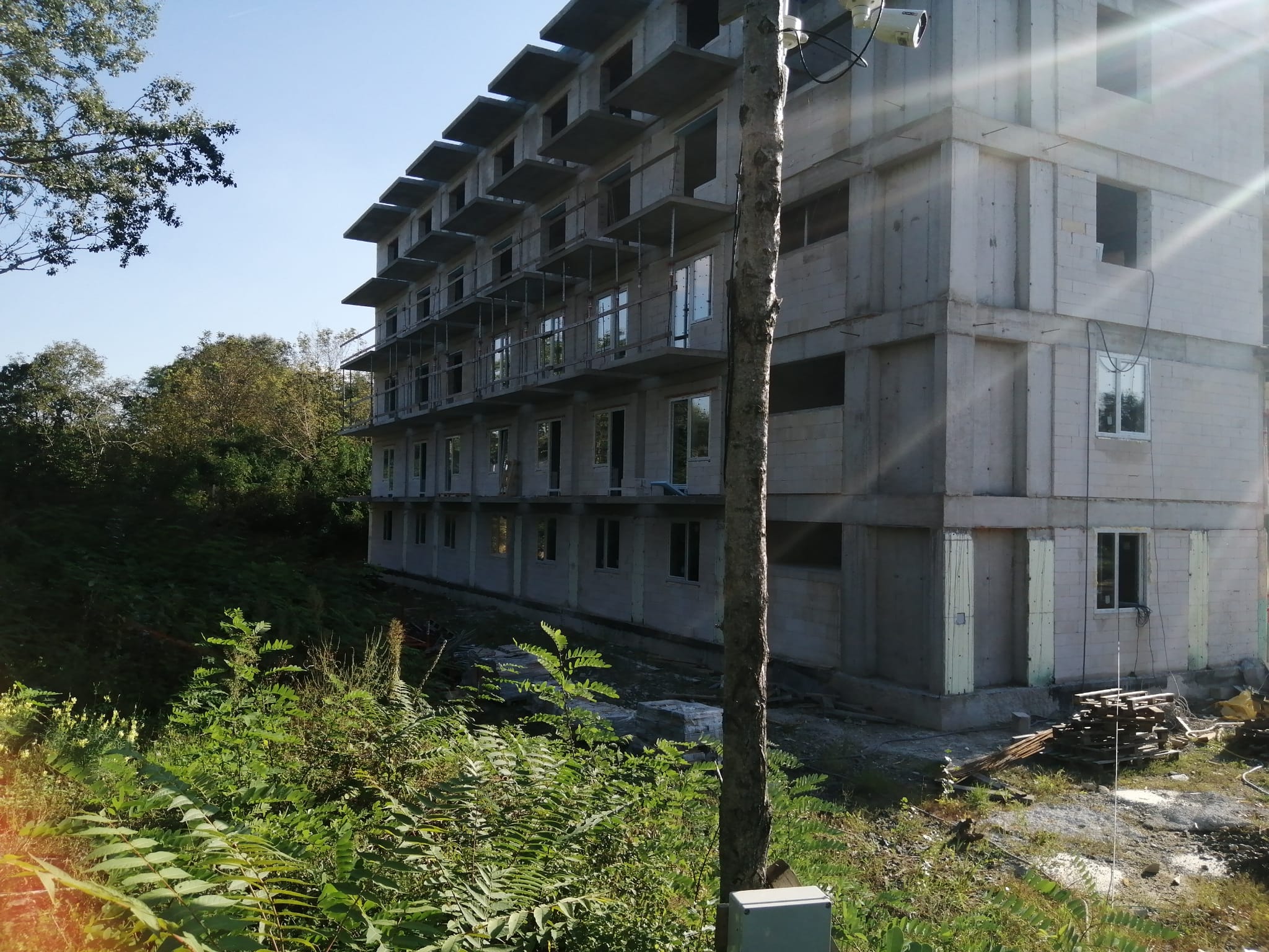 IMG-20230926-WA0018-1